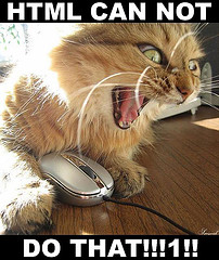 shocked lolcat titled 'HTML cannot do that!